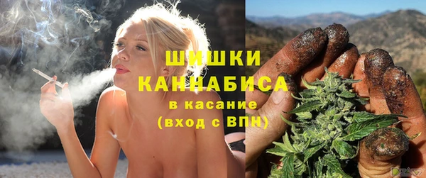 бошки Арсеньев