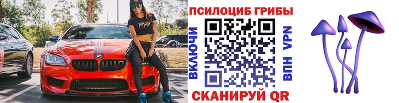 Галлюциногенные грибы Cubensis купить Ахтубинск