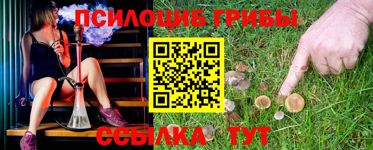 Псилоцибиновые грибы Magic Shrooms Ахтубинск