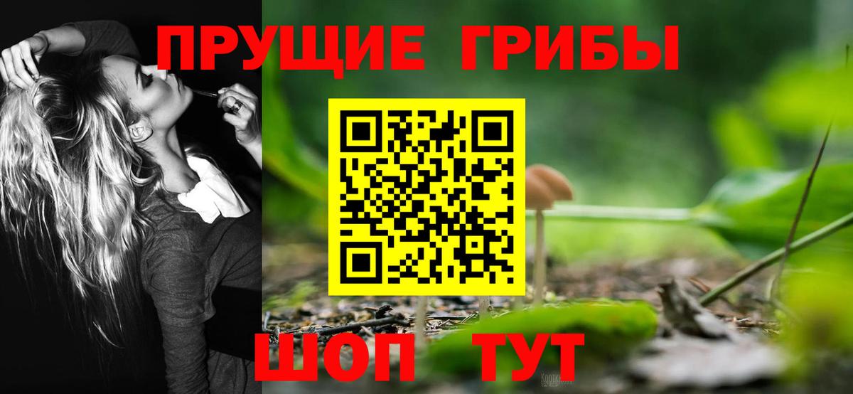 Ахтубинск  Галлюциногенные грибы Psilocybine cubensis  Вход с VPN 